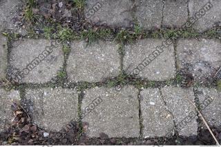 Photo Texture of Overgrown Floor